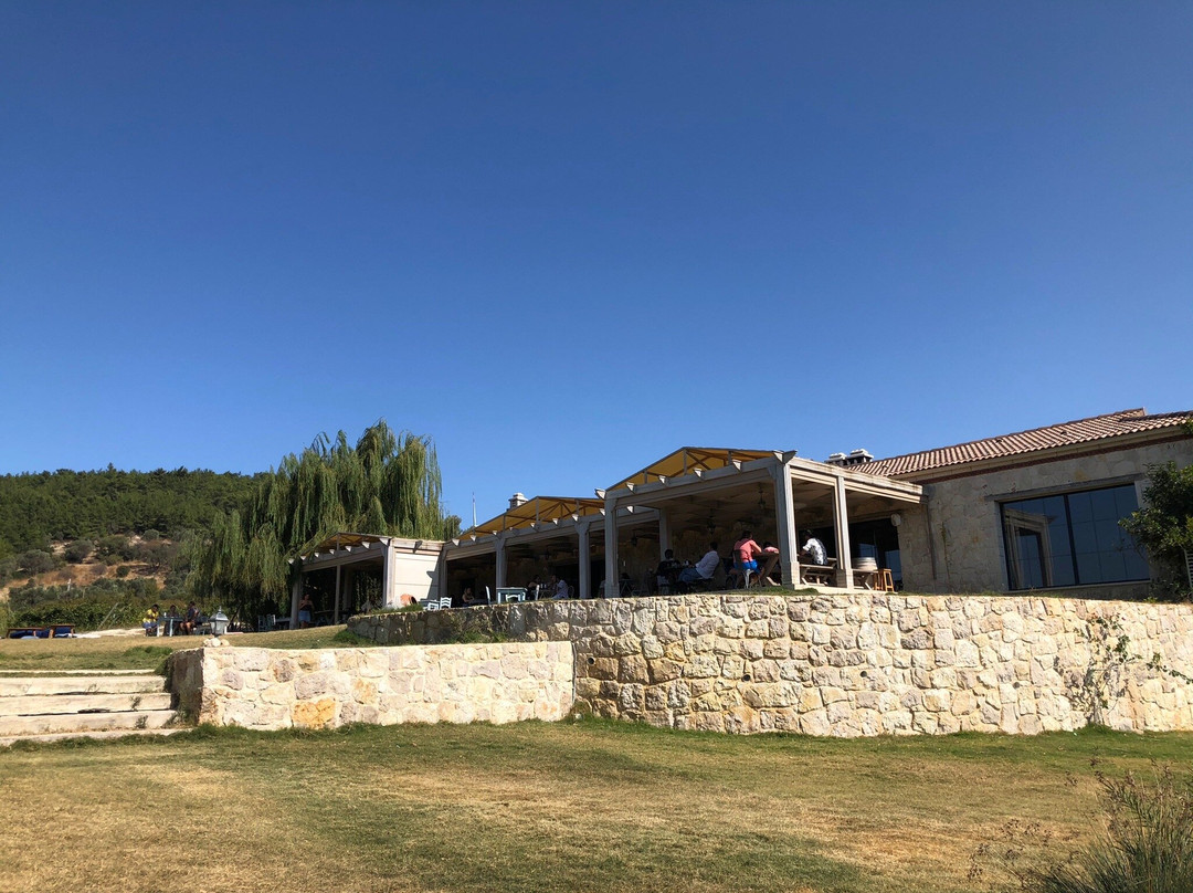 Usca Winery景点图片