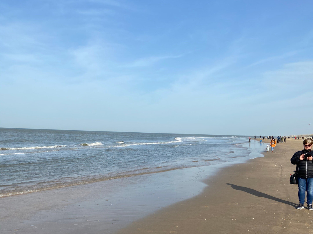 Strand van Castricum景点图片