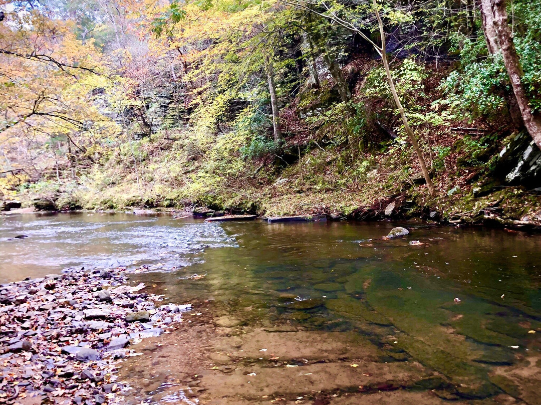 Tannehill Ironworks Historical State Park景点图片