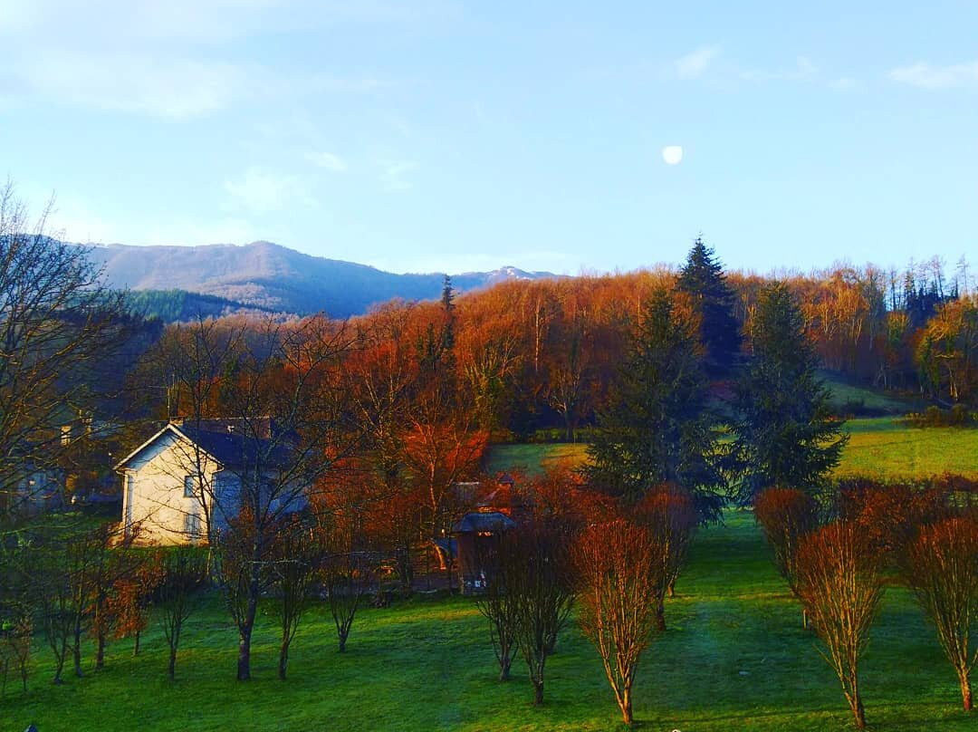 Bed In Bellongue主图