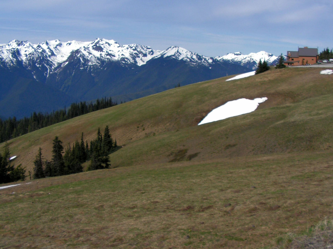 Hurricane Ridge Visitors Center-奥林匹克国家公园必去景点