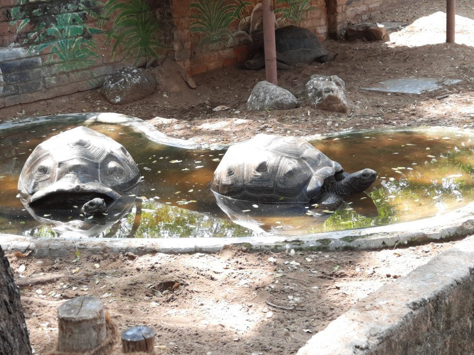 The Madras Crocodile Bank Trust and Centre for Herpetology景点图片