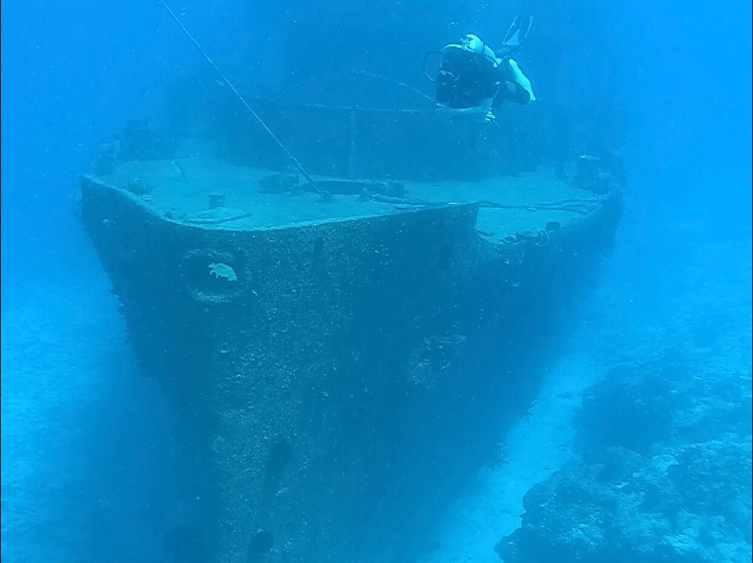 Diving Cenotes Tulum-图伦必去景点