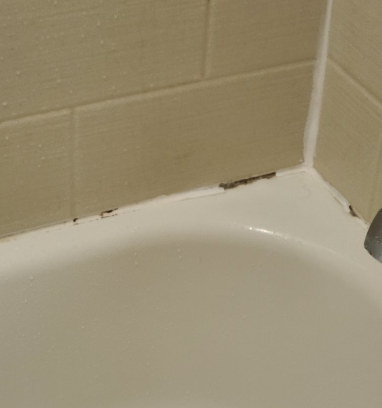 Sleep Inn & Suites Fort Campbell主图