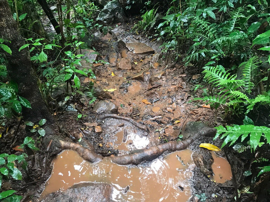 Cascata da Pedra Branca-Tres Forquilhas必去景点