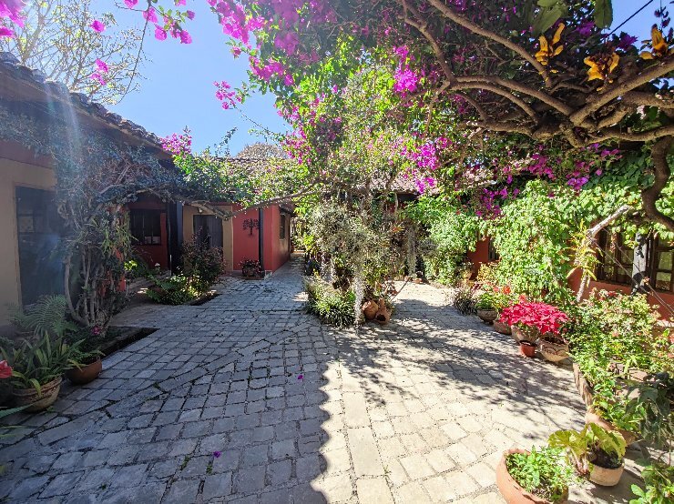 Guayaba Inn-官方