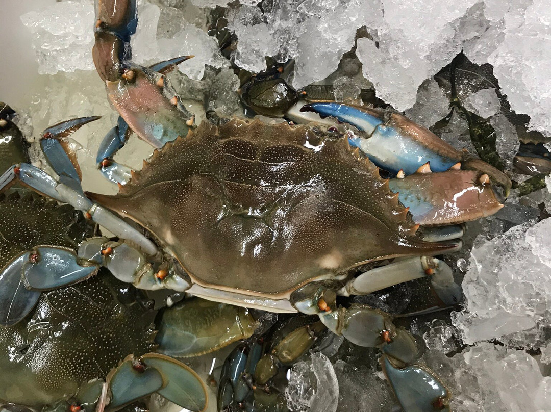 Seros旅游攻略图片