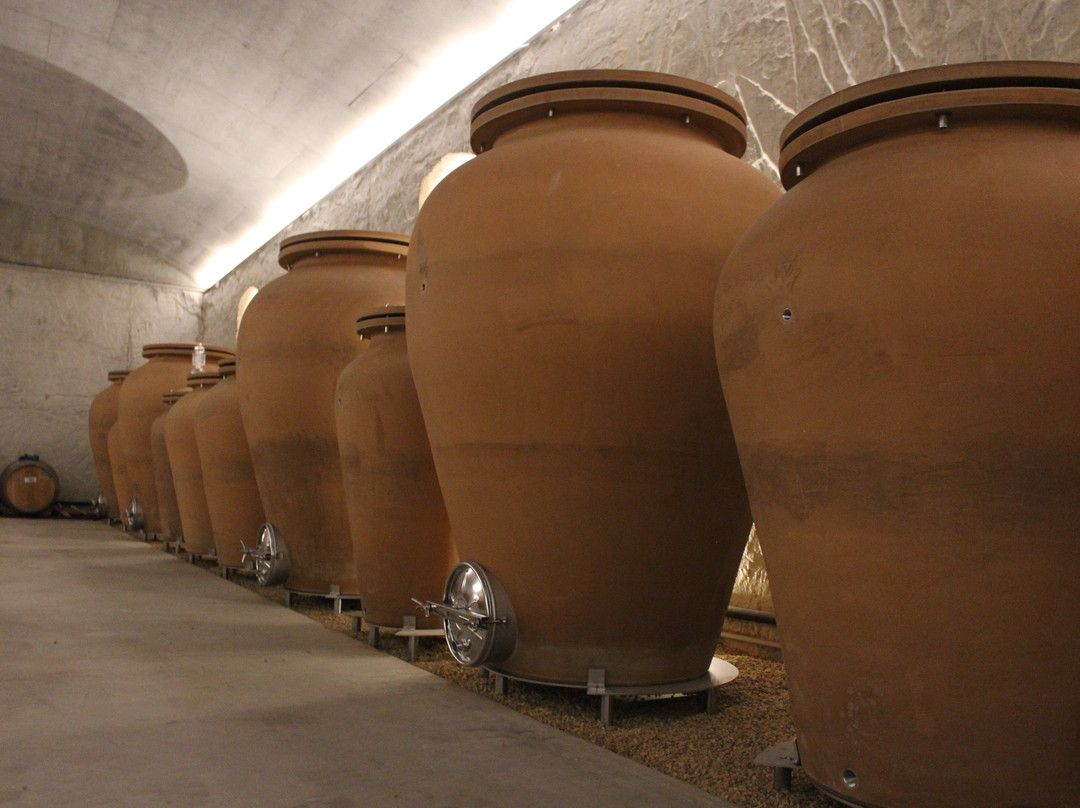Tscharke Wines景点图片
