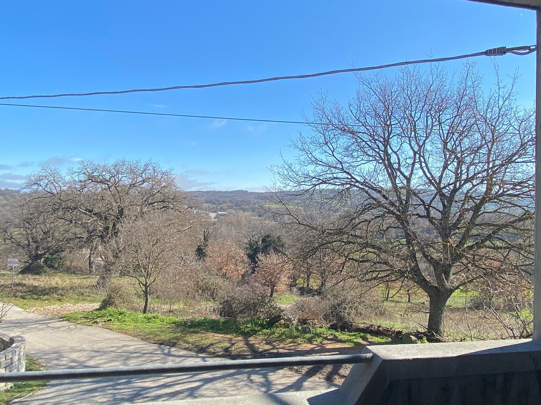 B&B L Agrifoglio di Rita Loddo主图