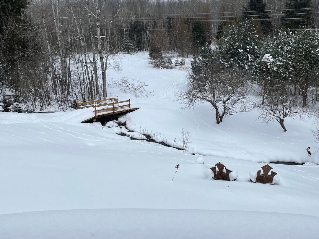 The House on the Hill Bed and Breakfast主图