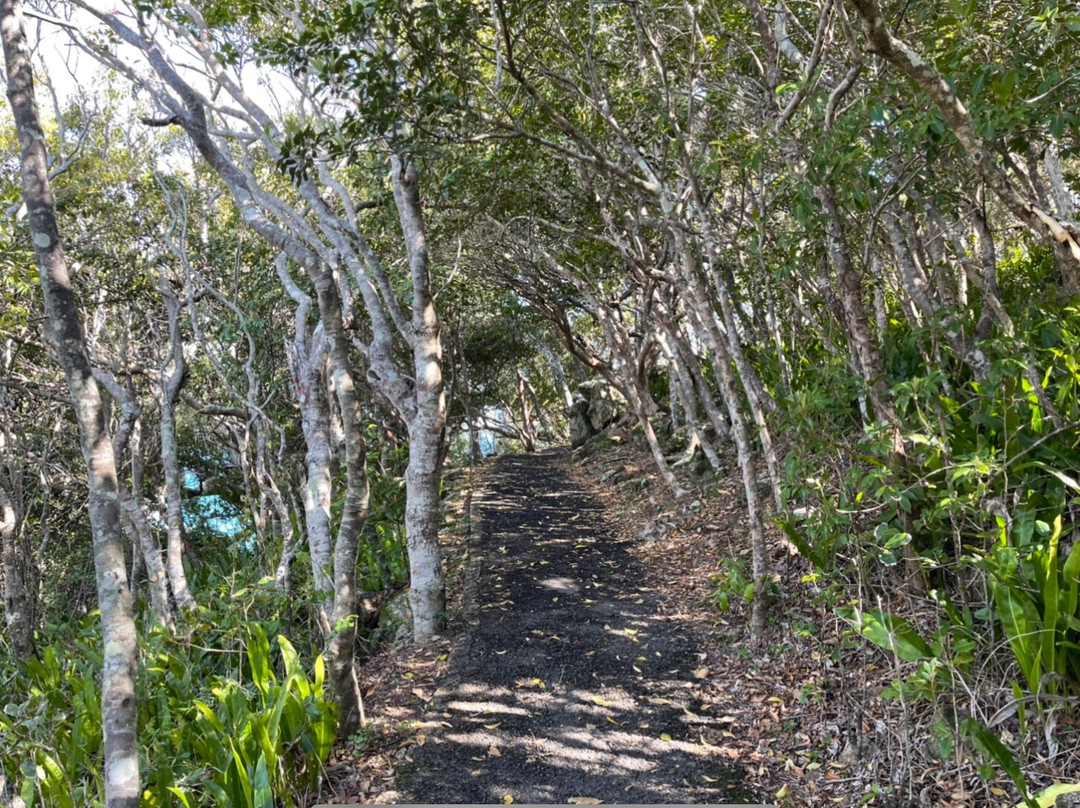 Bustard Bay Lookout景点图片