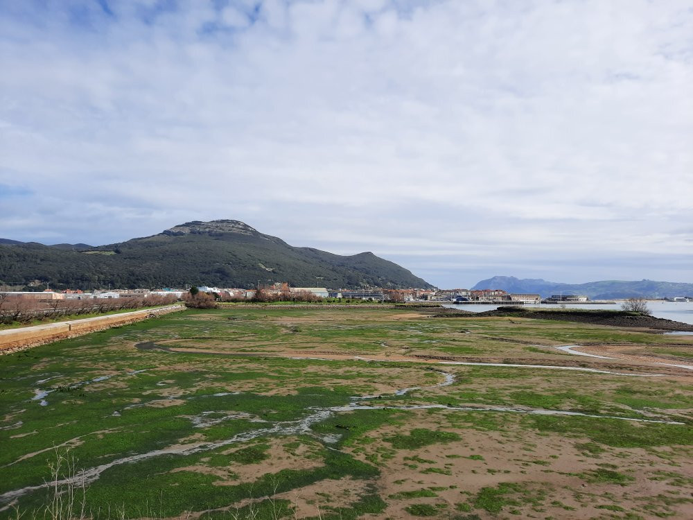 Parque Natural Marismas de Santoña景点图片