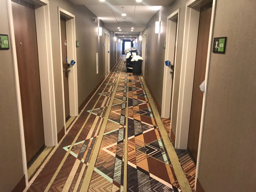 Hampton Inn & Suites Minooka主图