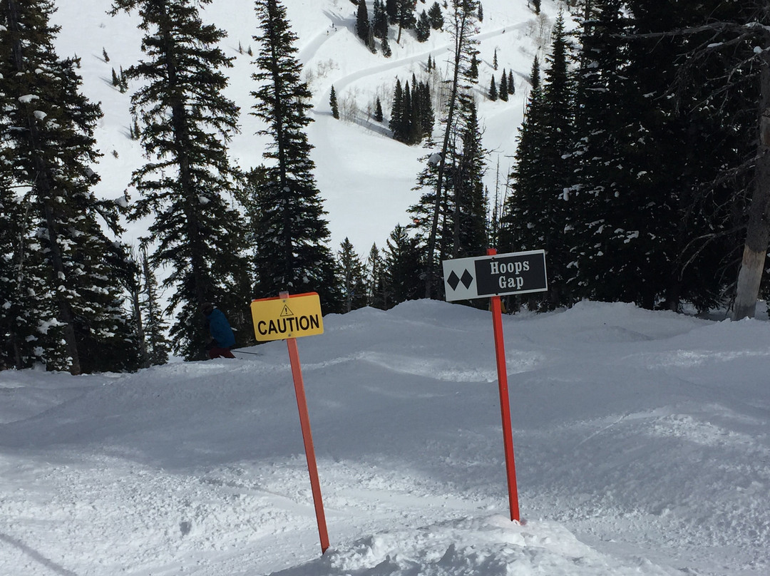 Jackson Hole Mountain Resort-提顿村必去景点