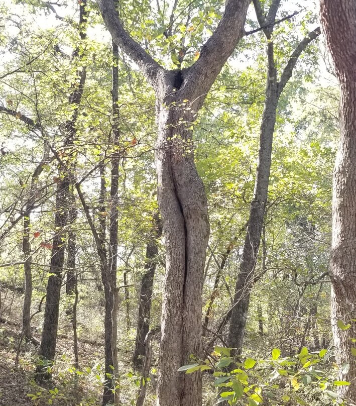 Chickasaw National Recreation Area-Sulphur必去景点