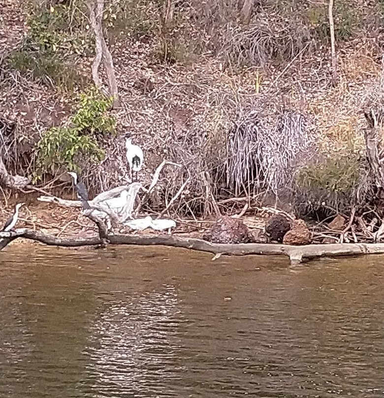Kalgan Queen Scenic Cruises-奥尔巴尼必去景点