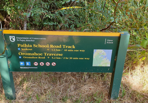 Opua Forest Lookout Track-派希亚必去景点