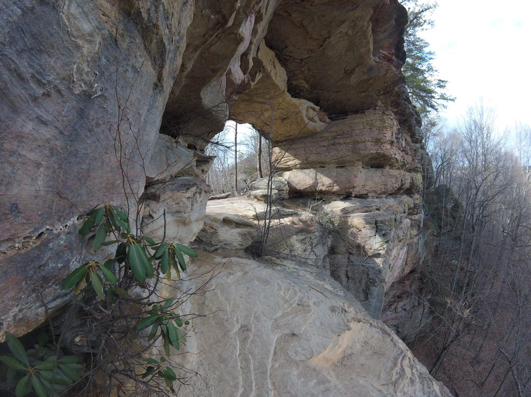 Red River Gorge Geological Area景点图片