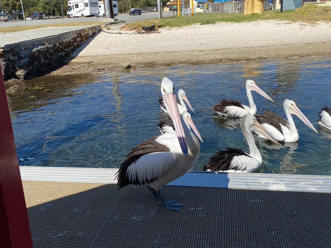 Kalgan Queen Scenic Cruises-奥尔巴尼必去景点