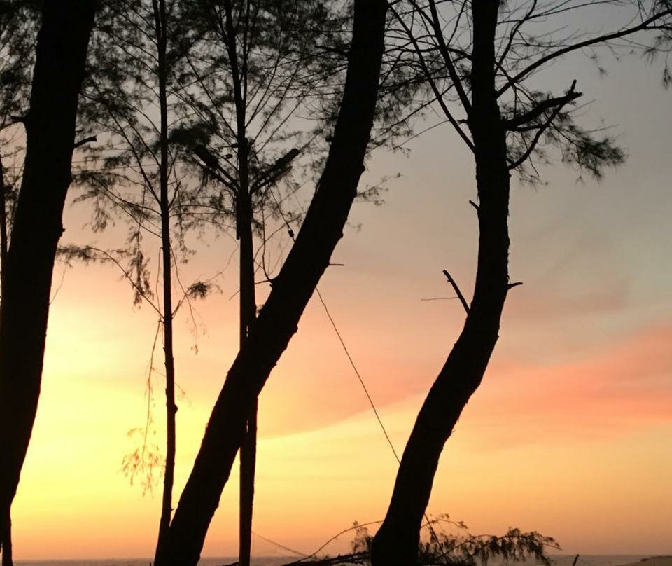 Sasihithlu Beach景点图片