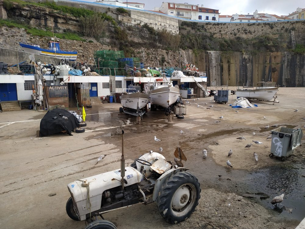 Porto de Pesca景点图片