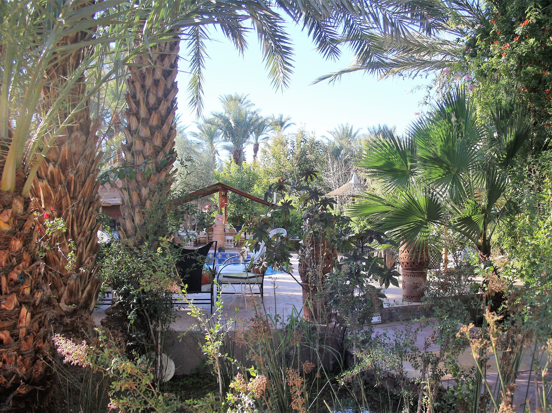 Bab el Oued Maroc Ecolodge主图