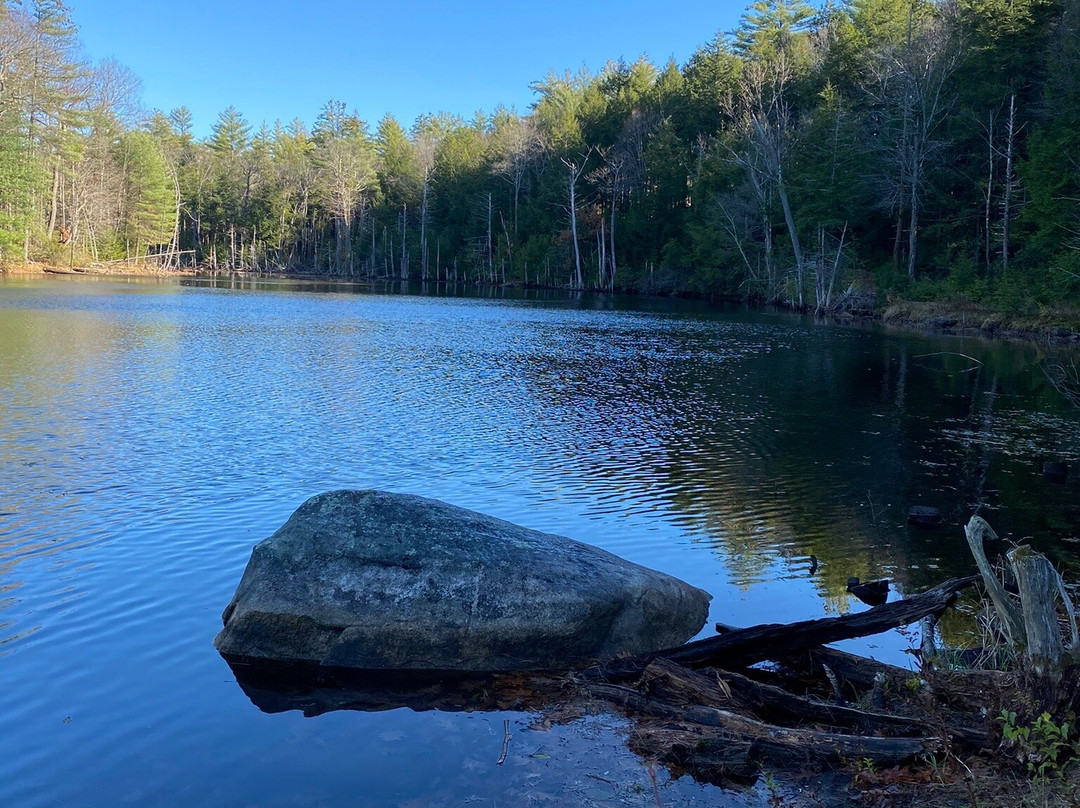 Bearsden Conservation Area景点图片