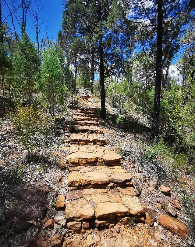 Sculptures in the Scrub Trail景点图片