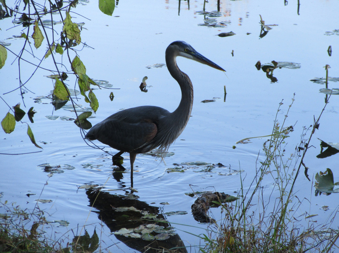 Hashawha Environmental Center &  Bear Branch Nature Center-Westminster必去景点