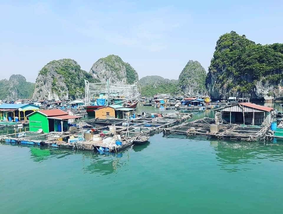 Blue Swimmer Adventures-卡巴必去景点