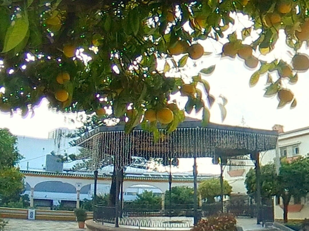 Plaza del Reloj景点图片