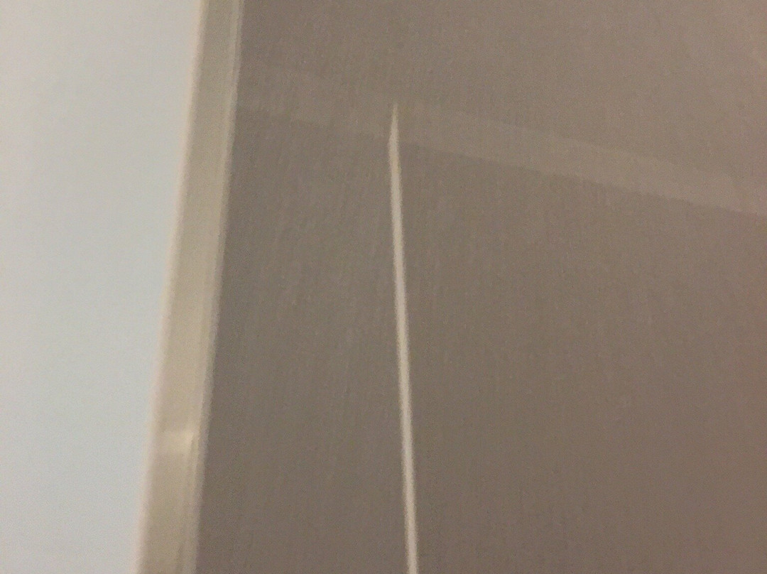 The White Hotel主图