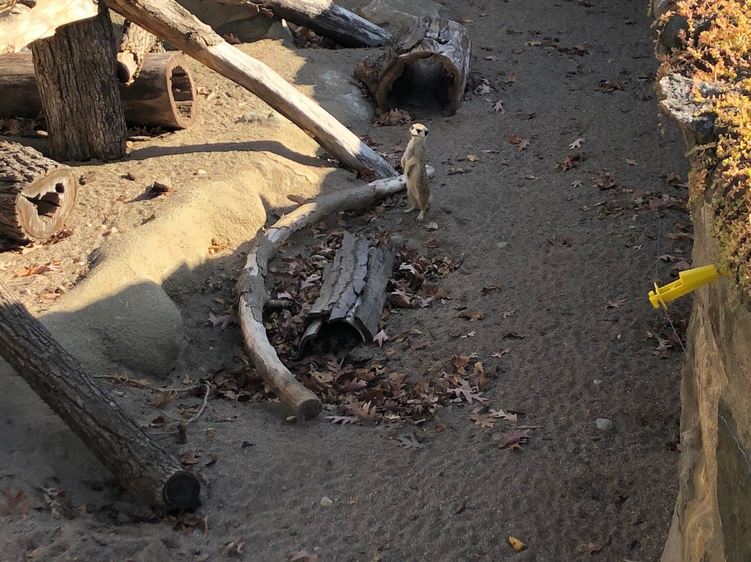 Potter Park Zoo-兰辛必去景点