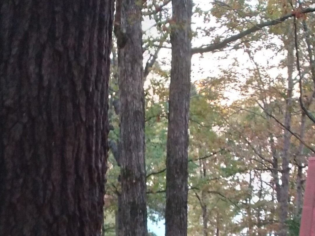 Fair Play Welcome Center-Fair Play必去景点