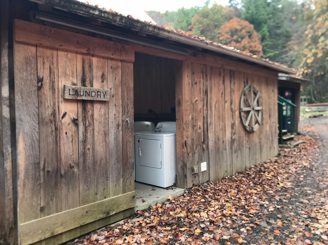 Mountain Harbour Bed and Breakfast主图