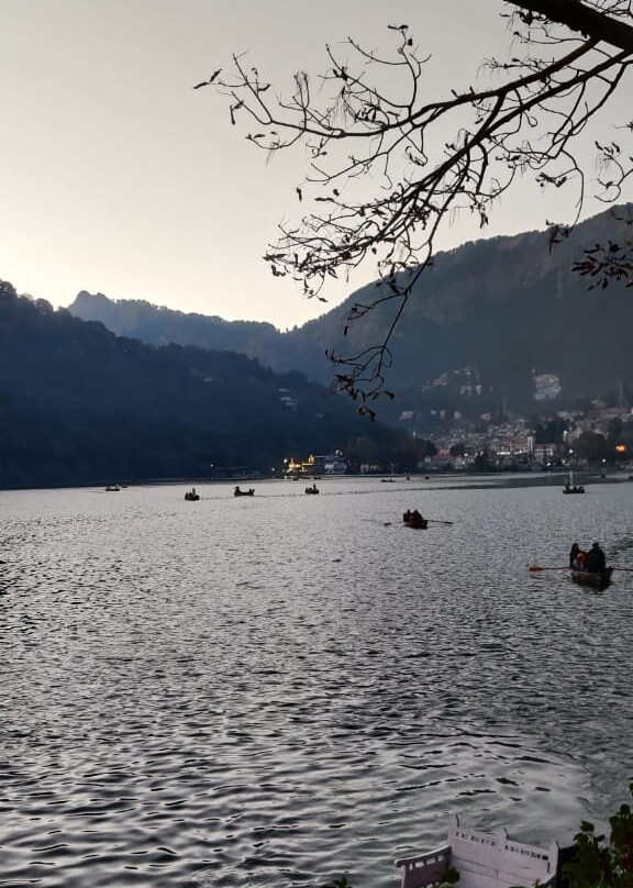 8fold-pinecrest By Larisa, Bhimtal主图