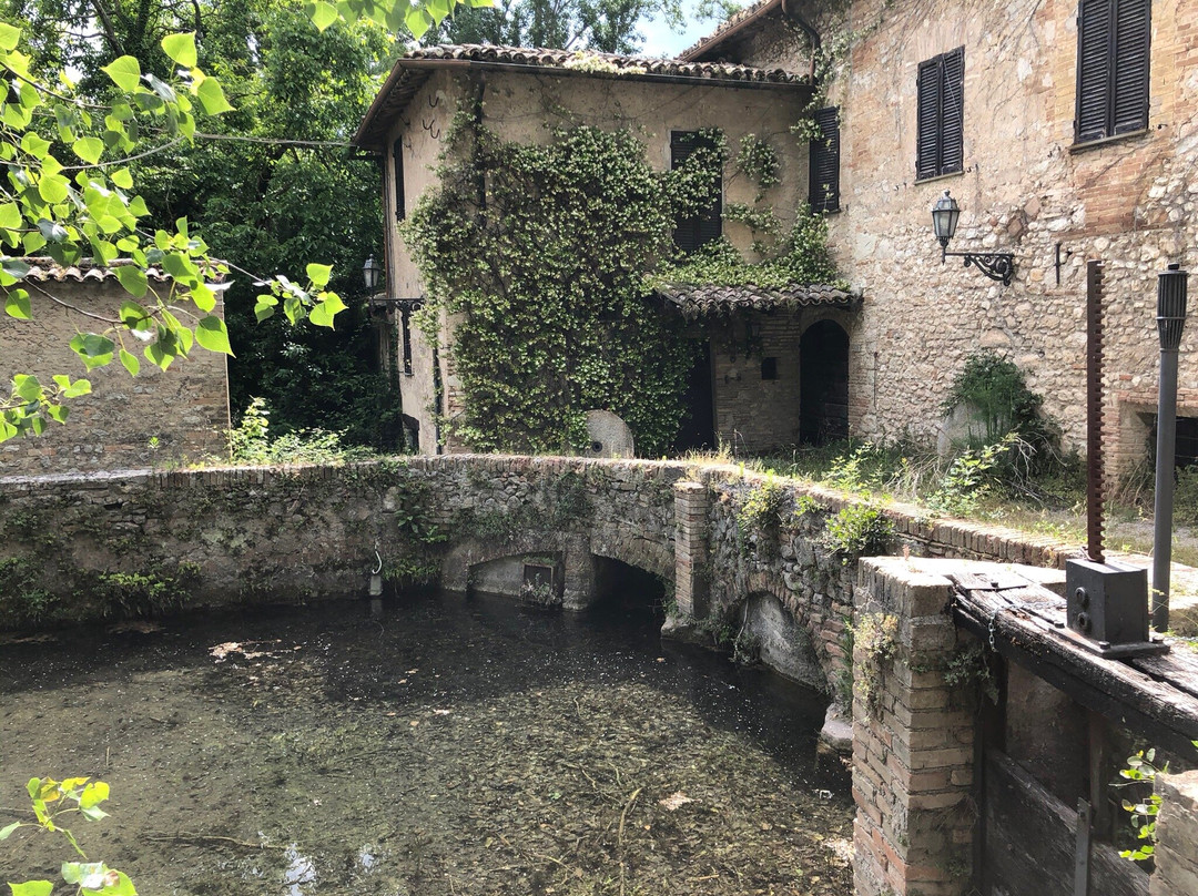 Tempietto del Clitunno景点图片