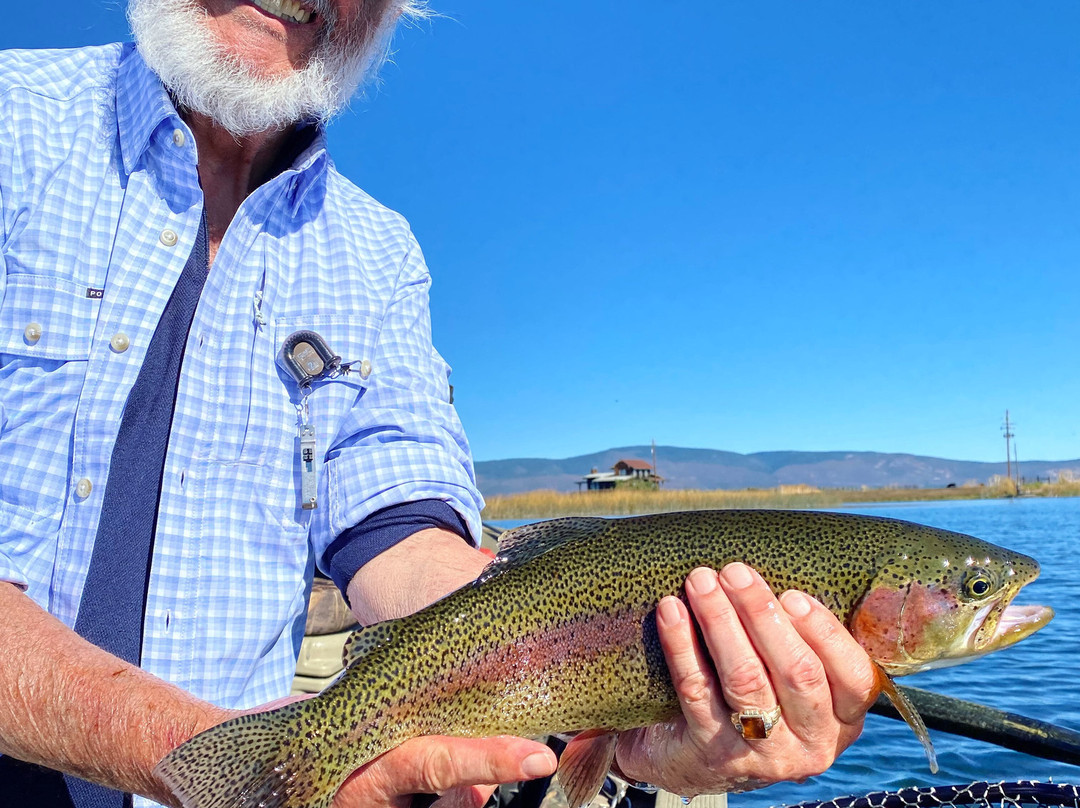 Clearwater Lodge at the Pit River主图