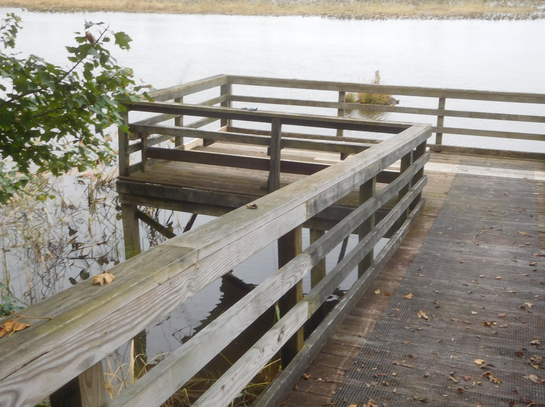 Cumberland Marsh Natural Area Preserve-New Kent必去景点