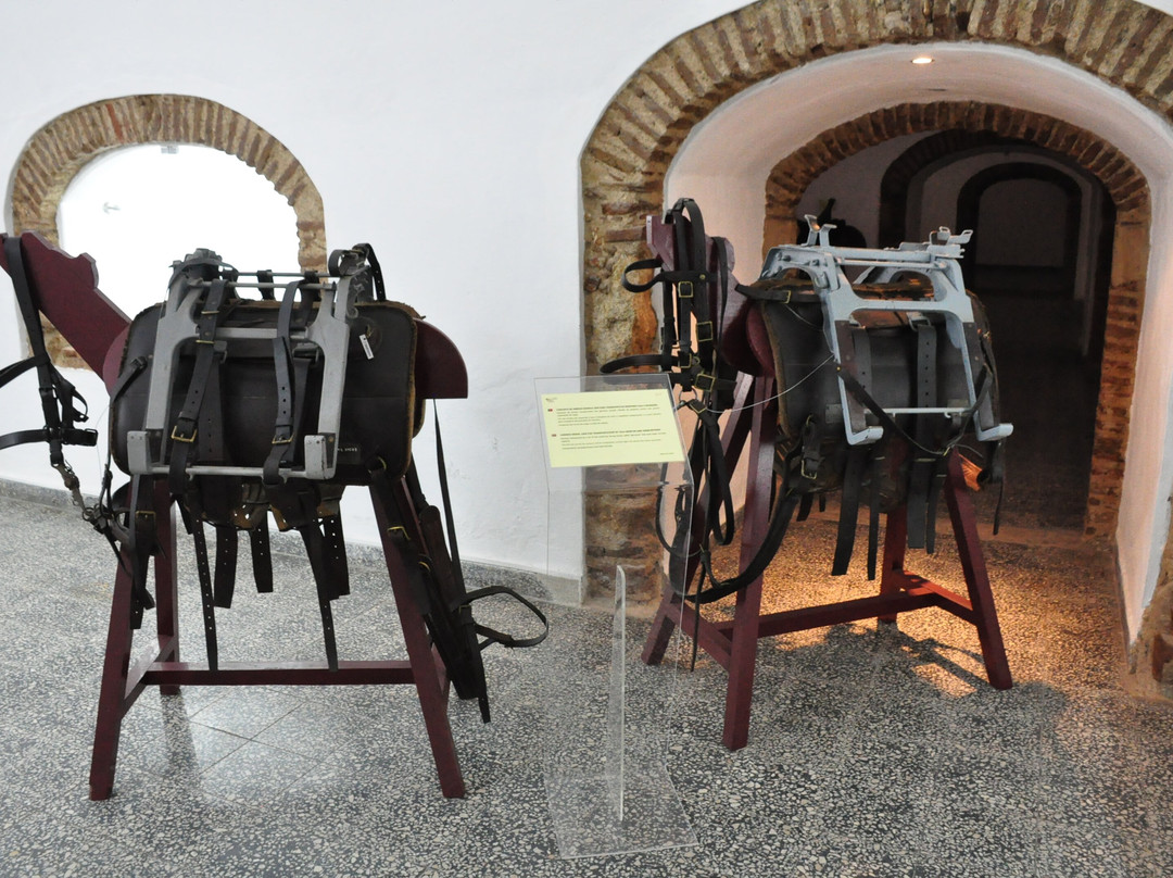 Museu Militar de Elvas景点图片