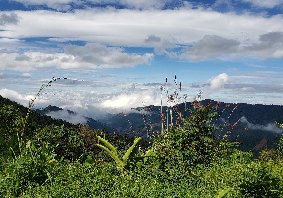 Doi Phu Kha Viewpoint景点图片