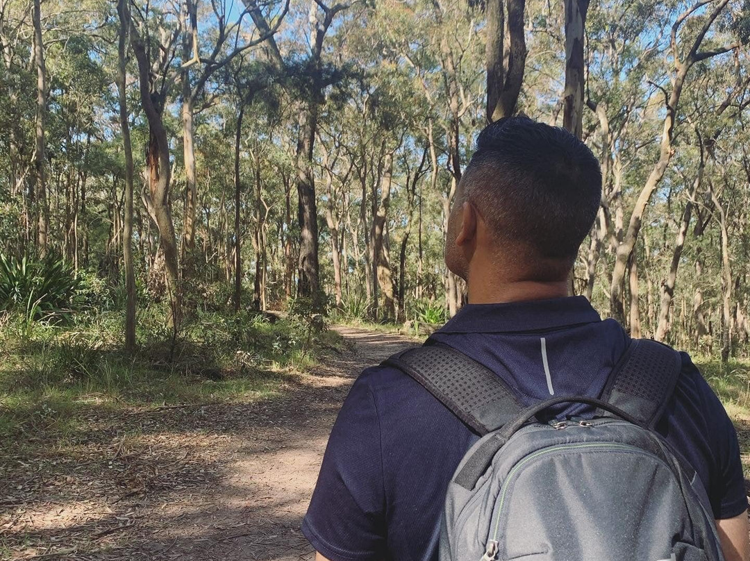 Mount Sugarloaf-Wallsend必去景点