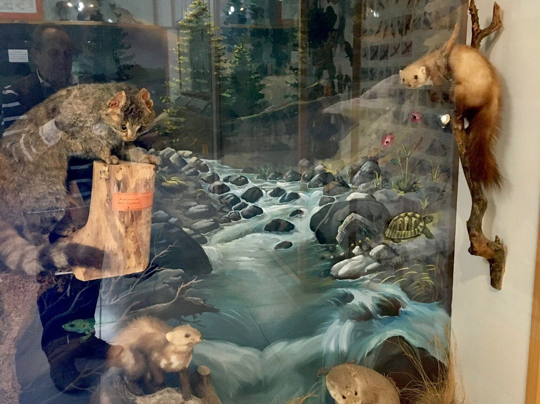 Oitis National Park-Loutra Ipatis必去景点