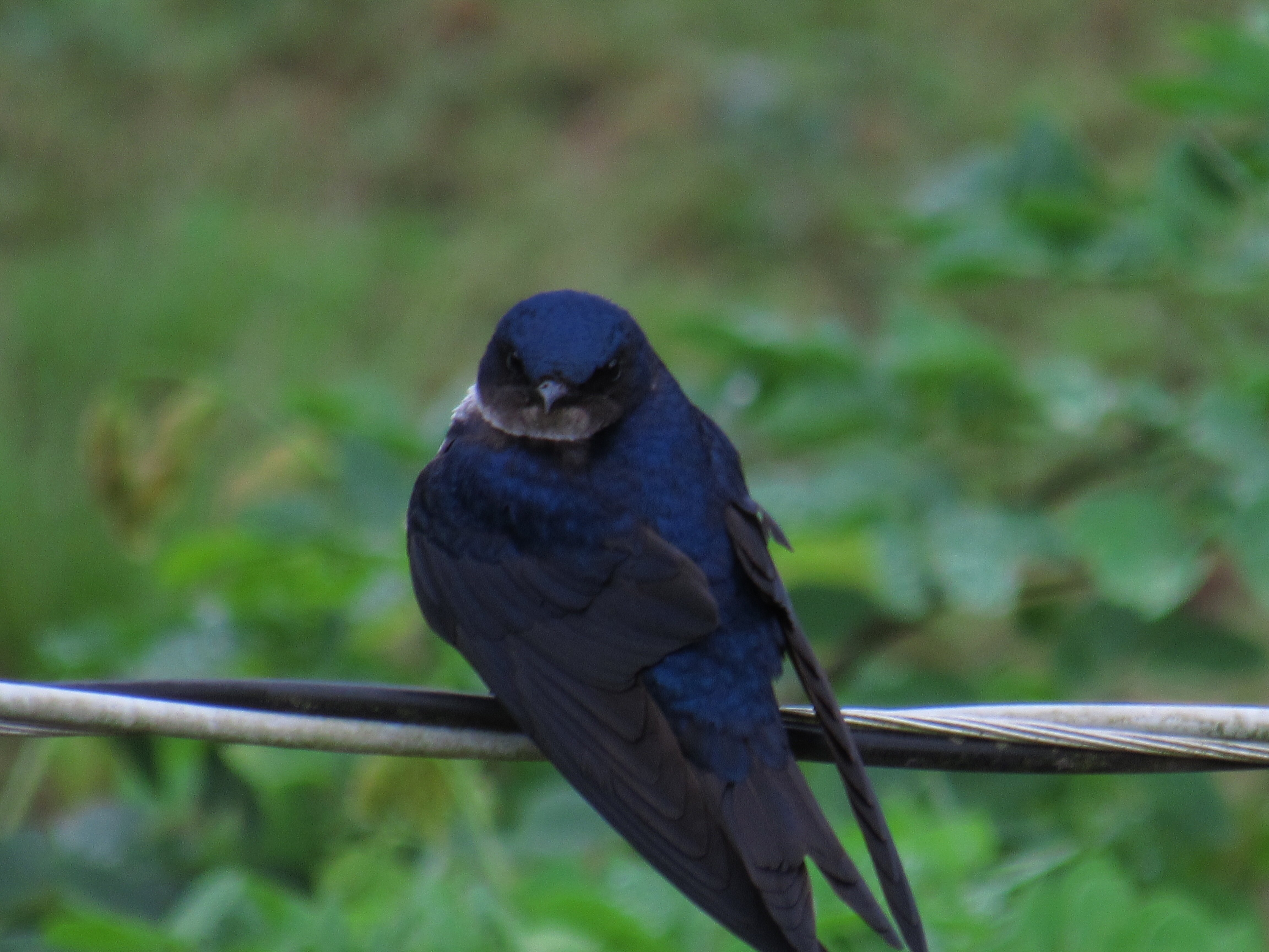 Pousada da Tammy-酒店景观