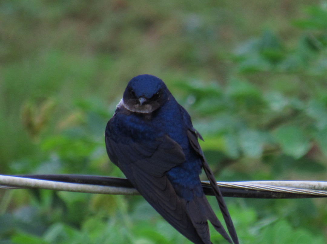 Pousada da Tammy主图