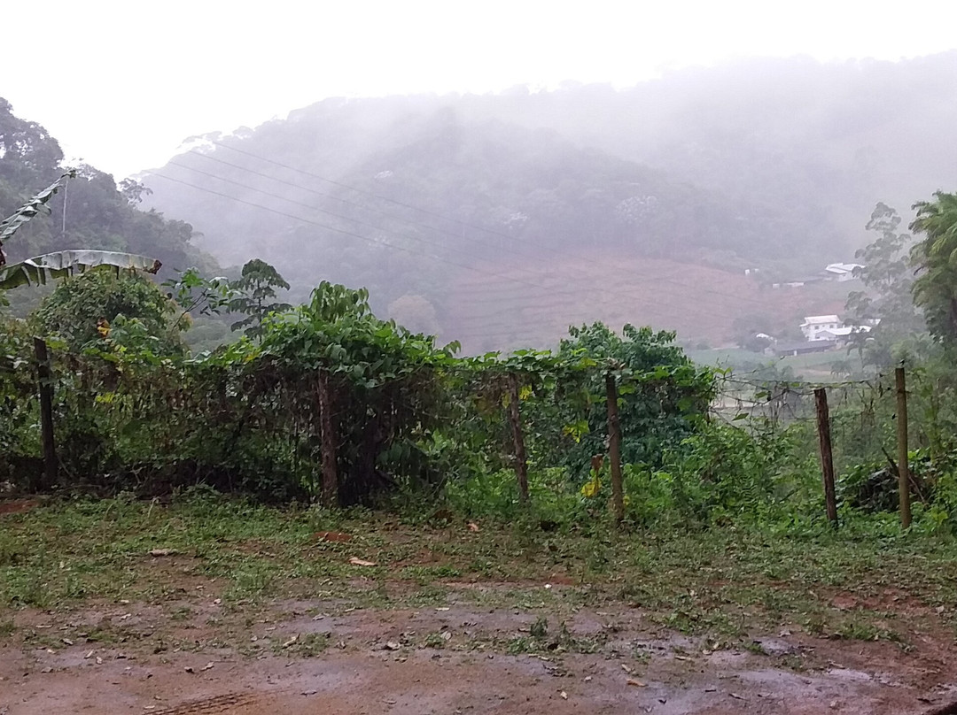 Recanto Primata主图