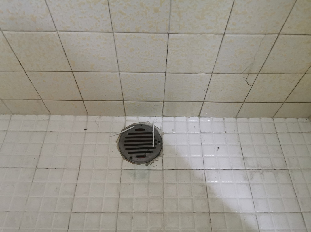 Hotel Plaza Palmas主图