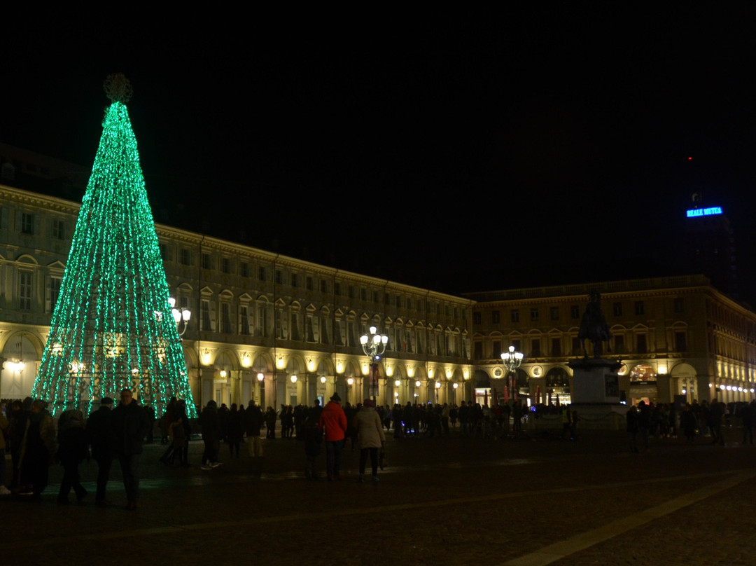 Palazzo Turinetti景点图片