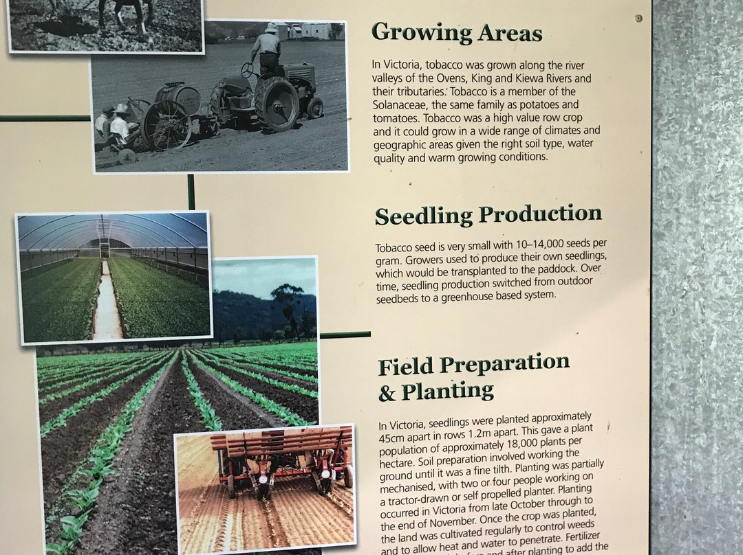 Log Tobacco Kiln-Myrtleford必去景点