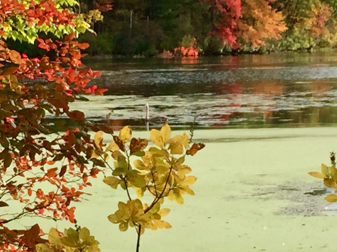 Assabet River National Wildlife Refuge景点图片